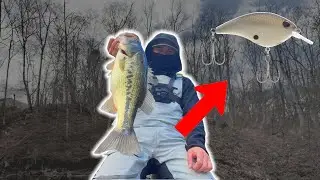 Catch Bigger Bass With This Crankbait