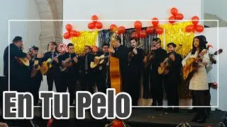 En Tu Pelo - Rondalla Arpegio de Zamora, Mich. (EN VIVO)