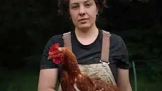 Plaw Hatch Farm, Sussex - part of the Biodynamic Association's 4-farm case study.