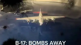 B-17 and P-51 escort