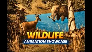 Unreal Engine Animation Showcase | Character Combat & Movement