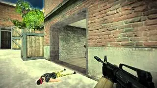 [Cyber-CS Highlights] playboy m4a1 and usp ace