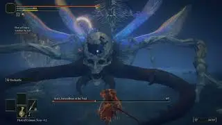 Astel, Naturalborn of the Void; Elden Ring Co-Op Challenge Run - Base Gear Only Part 26