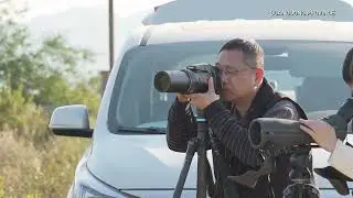 Southern China's Guangdong launches 2026 wintering water bird monitoring program