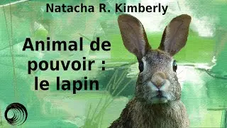 Animal de pouvoir : le lapin