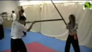 Two - Hand - Sword (Application, Free Fight)