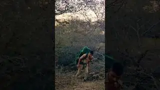 ncc cadet jungle survival tracking #ncctraining #camping #nightsurvival #nightcamping #survival