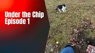 Metal Detector Shootout  Under the Chip Episode 1