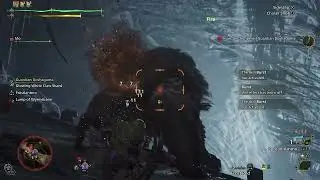 Hunt of the Day 12/15/25 Guardian Doshaguma VS  Light Bowgun