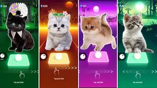 CUTE CAT WEDNESDAY BLOODY MARY vs BTS BUTTER vs BLACKPINK LISA MONEY X BTS MY UNIVERSE FAN Tiles Hop
