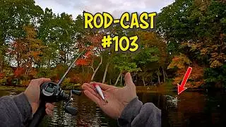 My Fish Senses are TINGLING! | I'm Not a Doctor | Rod-Cast Ep:103