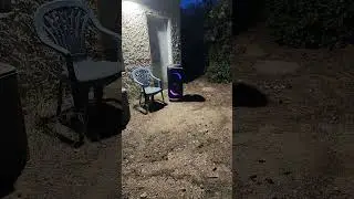 JBL Partybox 720 Deep bass test