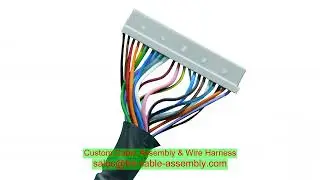 Car Wiring Harness Customization Car Door Lock Switch Control Wiring Harness 1094957-02-E Suitable f