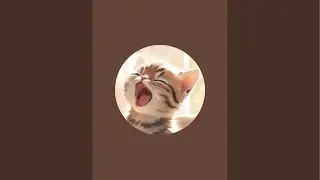 #short #ねこ #猫