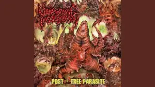 Experience of Perishing