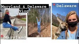 Maryland and Delaware Vlog pt. 2!! (we hug kangaroos at Barn Hill🦘)