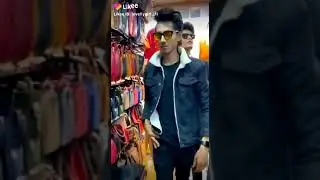 Sijd cat