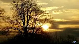 Sky in gold colors ...☀️ Niebo w barwach złota ...☀️ 金色の空。 4 K