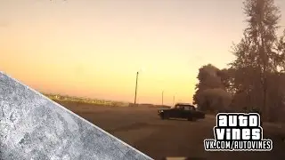 Auto Vines №139