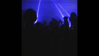 rabb1t - see you