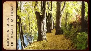 M&Uacute;SICA PARA RELAXAR E ACALMAR