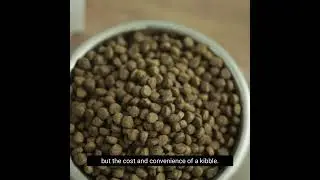 KetoNatural Pet Foods Overview v2