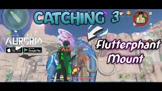 I Catching 3 FLUTTERPHANT MOUNT On time😎| Auroria a playful journey tips #auroria  #asikvgaming