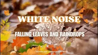 White noise bathed in falling leaves and raindrops with the sound of insects | brown noise