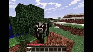 minecraft1.0.0.letsplay.mp4