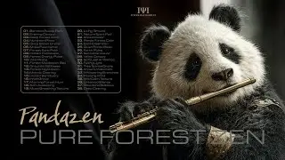 Pandazen &ndash; Whispering Branches / Pure Forest Zen | Zen Philosophy [Official Audio]
