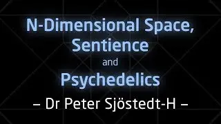 N-Dimensional Space, Sentience, and Psychedelics &ndash; SLIDES