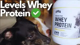 LEVELS | WHEY Protein Powder Review