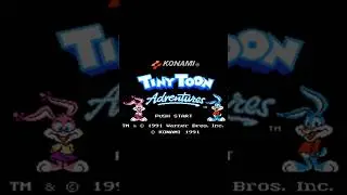 Tiny Toon Adventures Game memorable NES #NES #gamejadul #nintendoentertainmentsystem