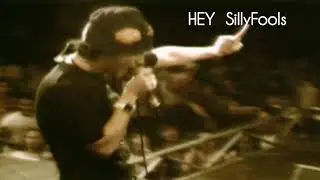 HEY  Silly Fools