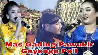 Mas Gading Pawukir Gayenge Poll