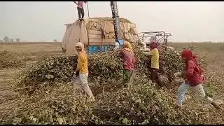 cotton stalk cutting machine 94179 52801
