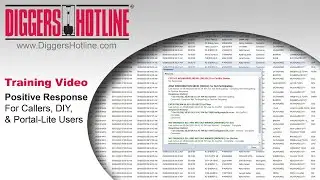 Positive Response for Callers, DIY Portal, and Portal-Lite Users