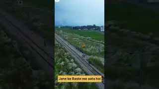 Hundur