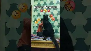 &ldquo;Arpit vs Mandavi 🔥 Fight Moment Full Power Mode ON!&rdquo;#dogfight#dogreaction#dogmood#youtubeshorts#the