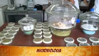SEGMENTO 2- SEMILLERO FASE CIENT&Iacute;FICA QU&Iacute;MICA