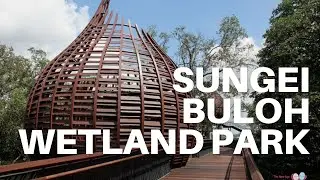 #Singapore Parks #SingaporeWalk #Cycling Singapore SUNGEI BULOH WETLANDS RESERVE PARK | SINGAPORE