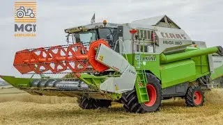 Claas Mega 360 MGI B&eacute;rmunk&aacute;k [2022] B&uacute;za arat&aacute;s