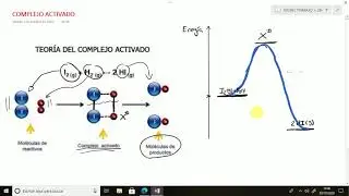 EL COMPLEJO ACTIVADO