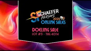 Schaefer Farms SCOD   Lot #3