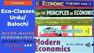 Basic Econometrics| Introduction to econometrics| Econometric model| Eco-Classes.