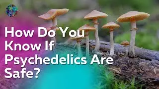 How Do You Know If Psychedelics Are Safe?