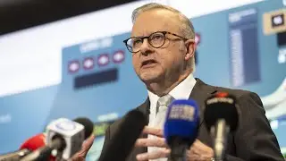Andrew Bolt lashes PM for 'comforting terrorists' with Palestine recognition