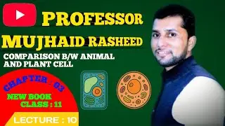 Comparison b/w plant and animal cell|Class 11 Biology Chapter 3(New Book, PECTAA 2025)by Sir Mujhaid