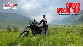 WISATA BROMO SPECIAL TRIP #wisatabromo #wisatamalang #outboundbromo #jeepbromo #lavaview