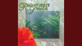 Rainforest Shade (Part 1)